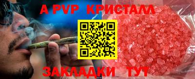 твердый Сланцы