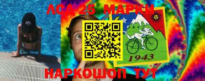 твердый Сланцы