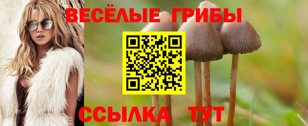 Галлюциногенные грибы ЛСД Барнаул